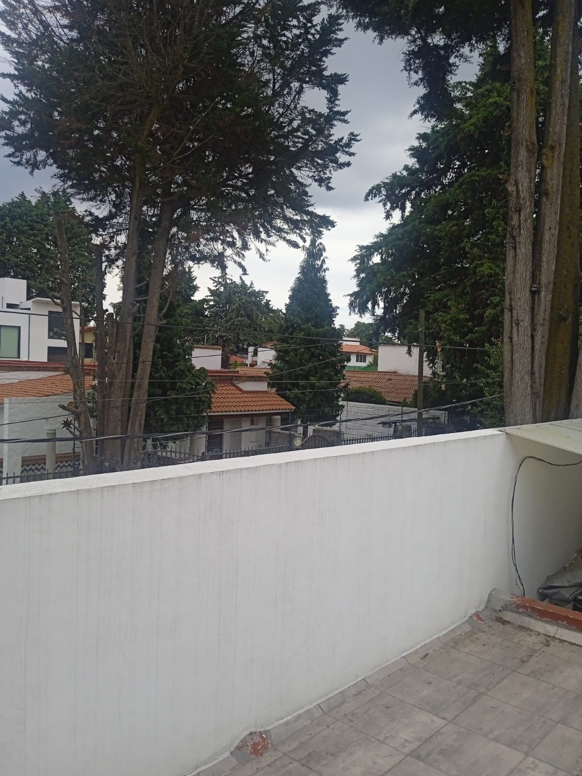 IMG-20260618-WA0041